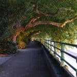 bishop-s_park